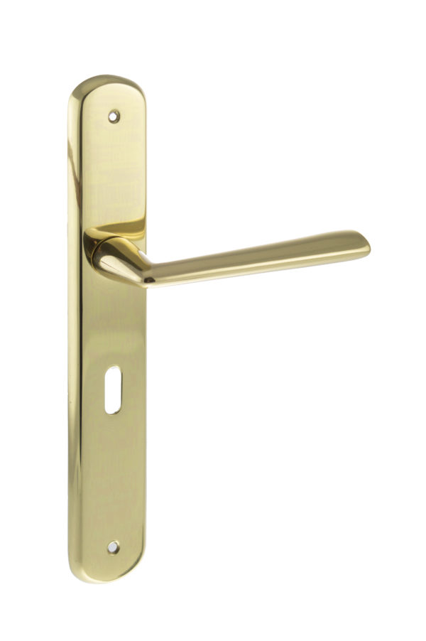 Forme Brigette Solid Brass Key Lever Door Handle on Backplate - Polished Brass