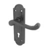 Turnberry Door Handles On Backplate, Black Antique (sold in pairs)