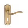 Atlantic Warwick Old English Door Handles On Backplate, Antique Brass - OE178AB (sold in pairs)