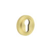 Burlington Euro Profile Escutcheons Knurled Rose Satin Brass