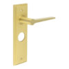 Knightbridge Door Handle Bathroom Backplate Satin Brass