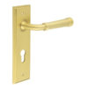 Highgate Door Handle Din Euro Backplate Satin Brass