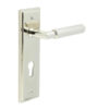 Piccadilly Door Handle Din Euro Backplate Polished Nickel