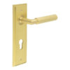 Piccadilly Door Handle Din Euro Backplate Satin Brass