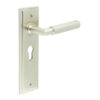 Piccadilly Door Handle Euro Backplate Satin Nickel