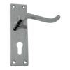 Victorian Scroll Lever on Backplate Euro Profile - Satin Chrome