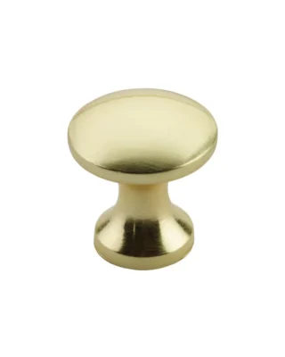Zoo Hardware TDFK24-PG Round Cabinet knob 24.2mm Dia. Polished Gold Finish