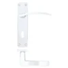 Polished Chrome