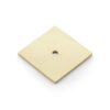 Alexander And Wilks Bullion Square Backplate - 45Mm AW894-45-SBPVD Satin Brass Pvd