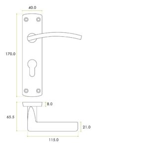 Zoo Hardware ZPA031EP-SC Toledo Door Handle on Euro Backplate Satin Chrome
