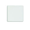 Eurolite Ecw1B Single Blank Flat Concealed White Plate