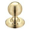 Polished Brass