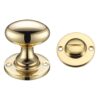 Polished Brass