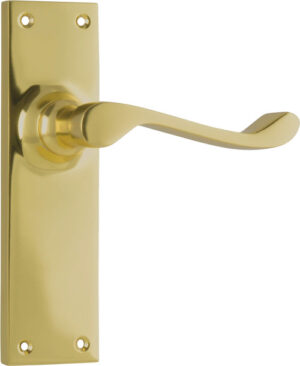 Polished Brass Door Handles