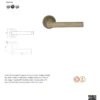 Nera Safety Lever on Sprung Rose Grade 304