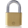 Yale Standard Brass Padlocks