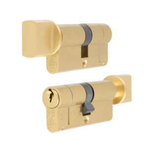 MPx6 Euro Cylinder and Turn