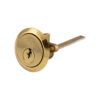 Polished Brass